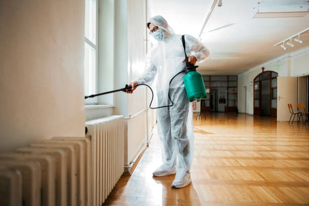 Best Pest Prevention Services  in Palestine, TX